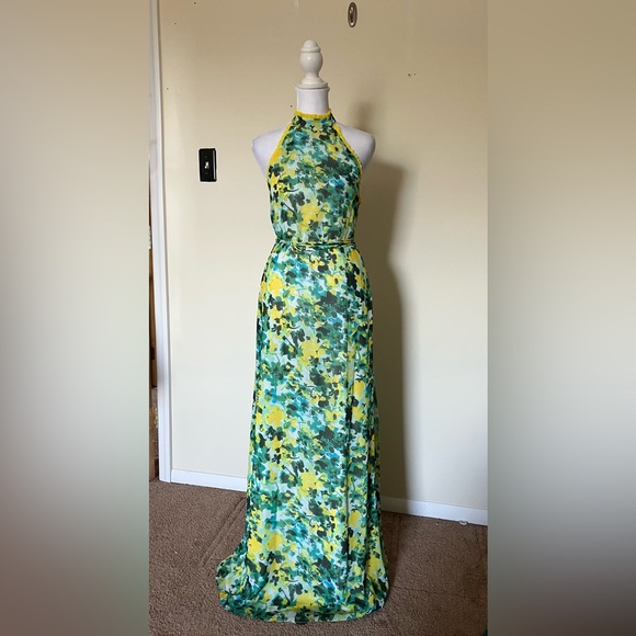 House of Harlow 1960 x Revolve Novia Maxi Dress in Kelly Green Floral size XS - Picture 2 of 12
